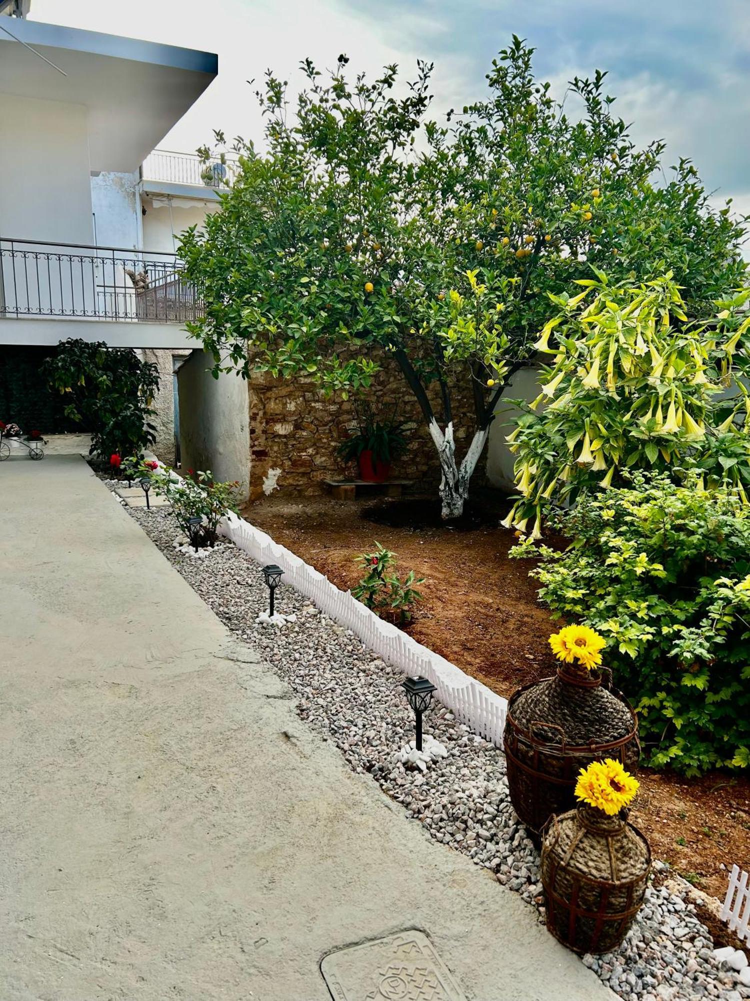 Flower House In Koropi-Near Airport מראה חיצוני תמונה